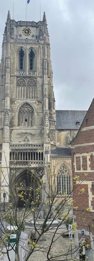 Domus Basil Vila Tongeren Exterior foto